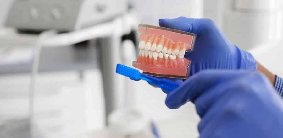 Brossage de dents : conseils des chirurgiens-dentistes à Lyon 8